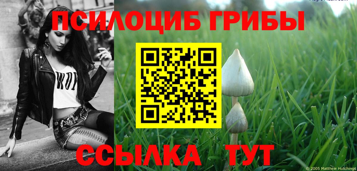 Осинники  Псилоцибиновые грибы Cubensis  Вход с VPN 