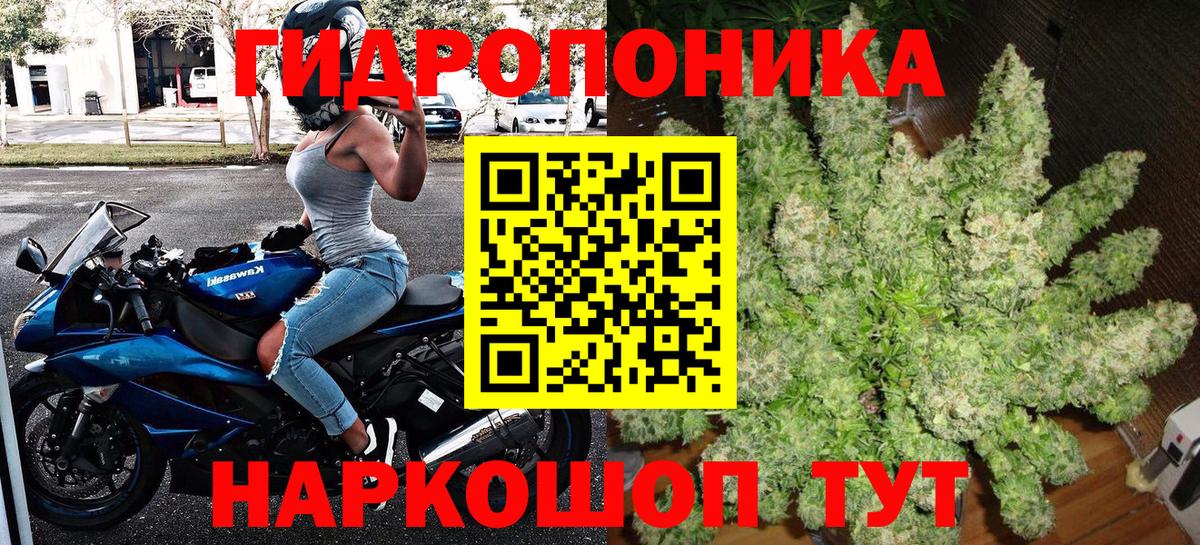 МАРИХУАНА Ganja Осинники